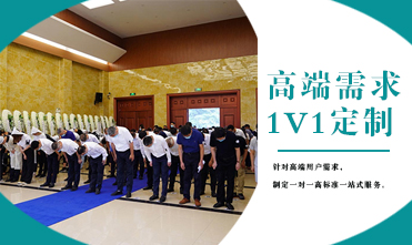 高端需求1V1定制