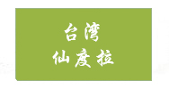 上海安慈孝悌文化中心